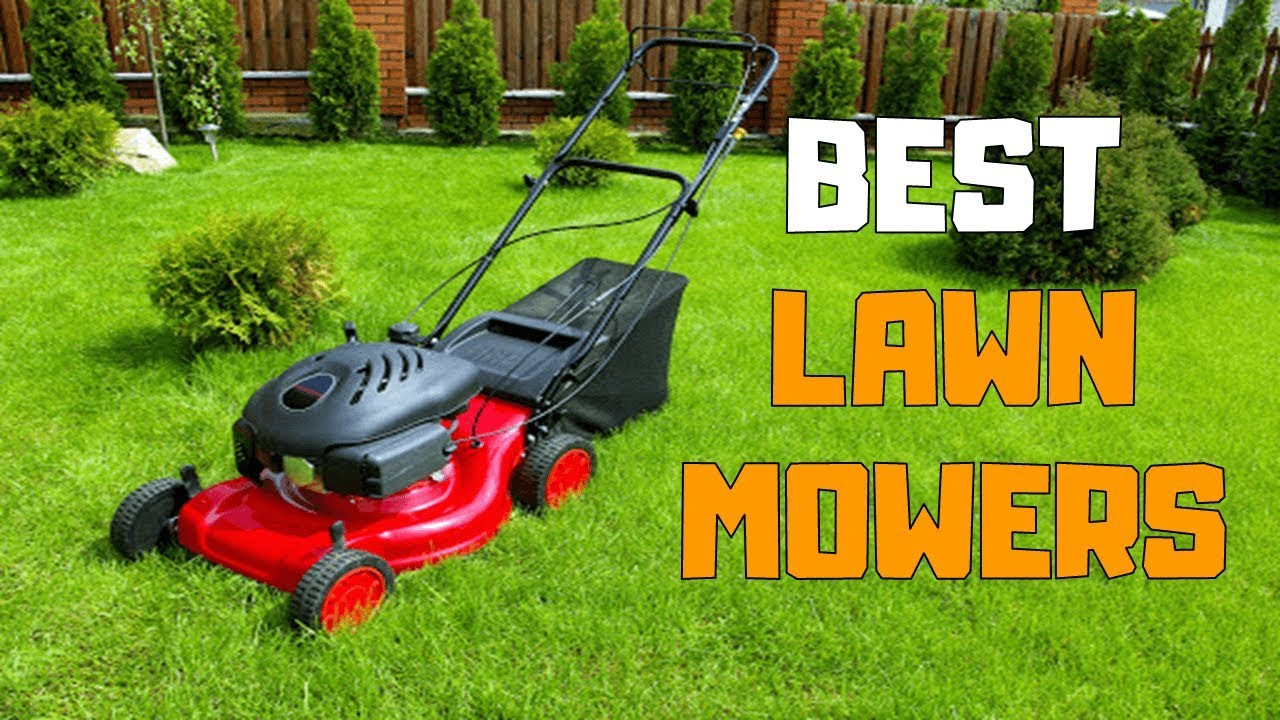 7 Best Lawn Mowers to Buy in 2022